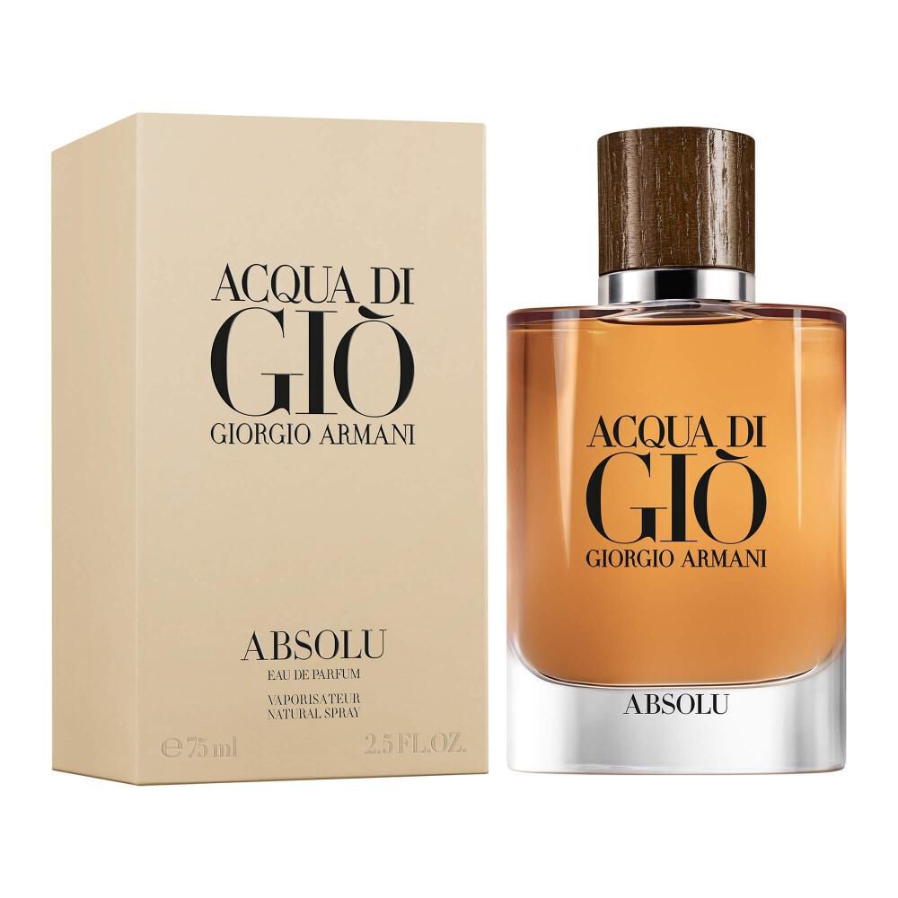 Perfume Giorgio Armani Acqua Di Gi Absolu Masculino Eau de Parfum