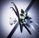 LANCOME    LA VIE EST BE EDP  75ML