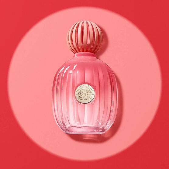 Perfume Banderas The Icon Splendid for Women Feminino Eau de Parfum