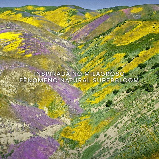 AQUA ALLEGORIA FLORABLOOM FORTE EDP