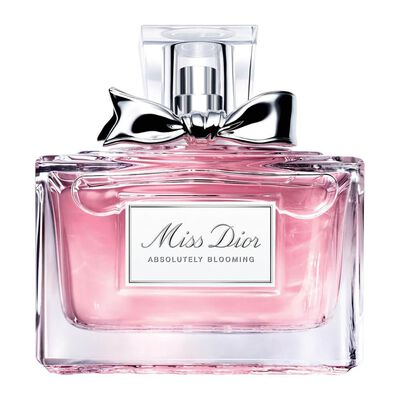 DIOR ABSOL 1