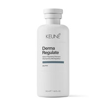 Shampoo Keune Care Derma Regulate