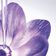 LANCOME    RENERGIE      CREA 50ML
