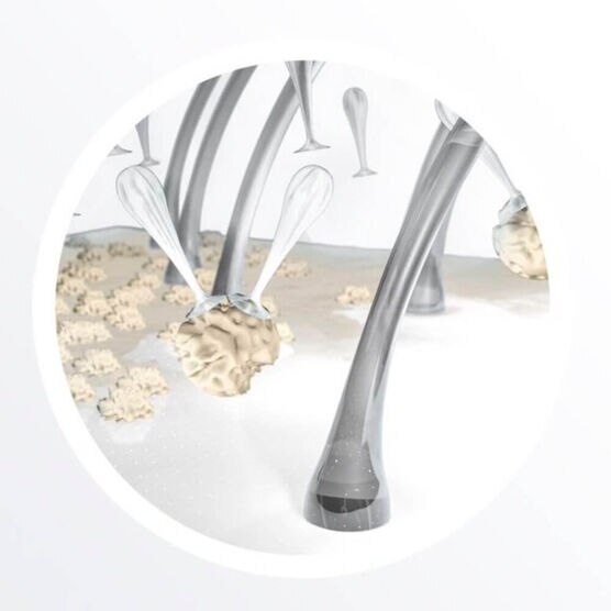 NIOXIN     SYSTEM 4      HAIR 300ML