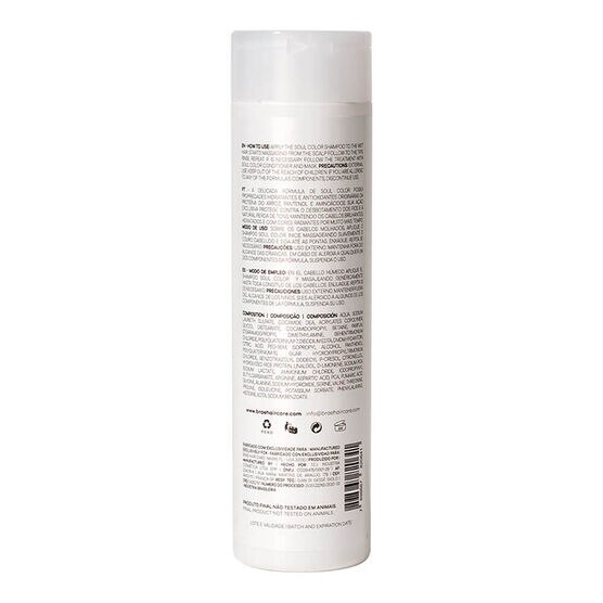 BRAÉ       SOUL COLOR    SHAM 250ML