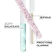 SYMBIOSE Serum