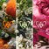 Refil Aqua Allegoria Mandarine Basilic EDP Forte Feminino
