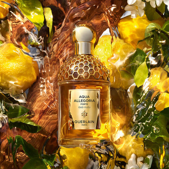 Perfume Guerlain Aqua Allegoria Oud Yuzu Forte Eau de Parfum