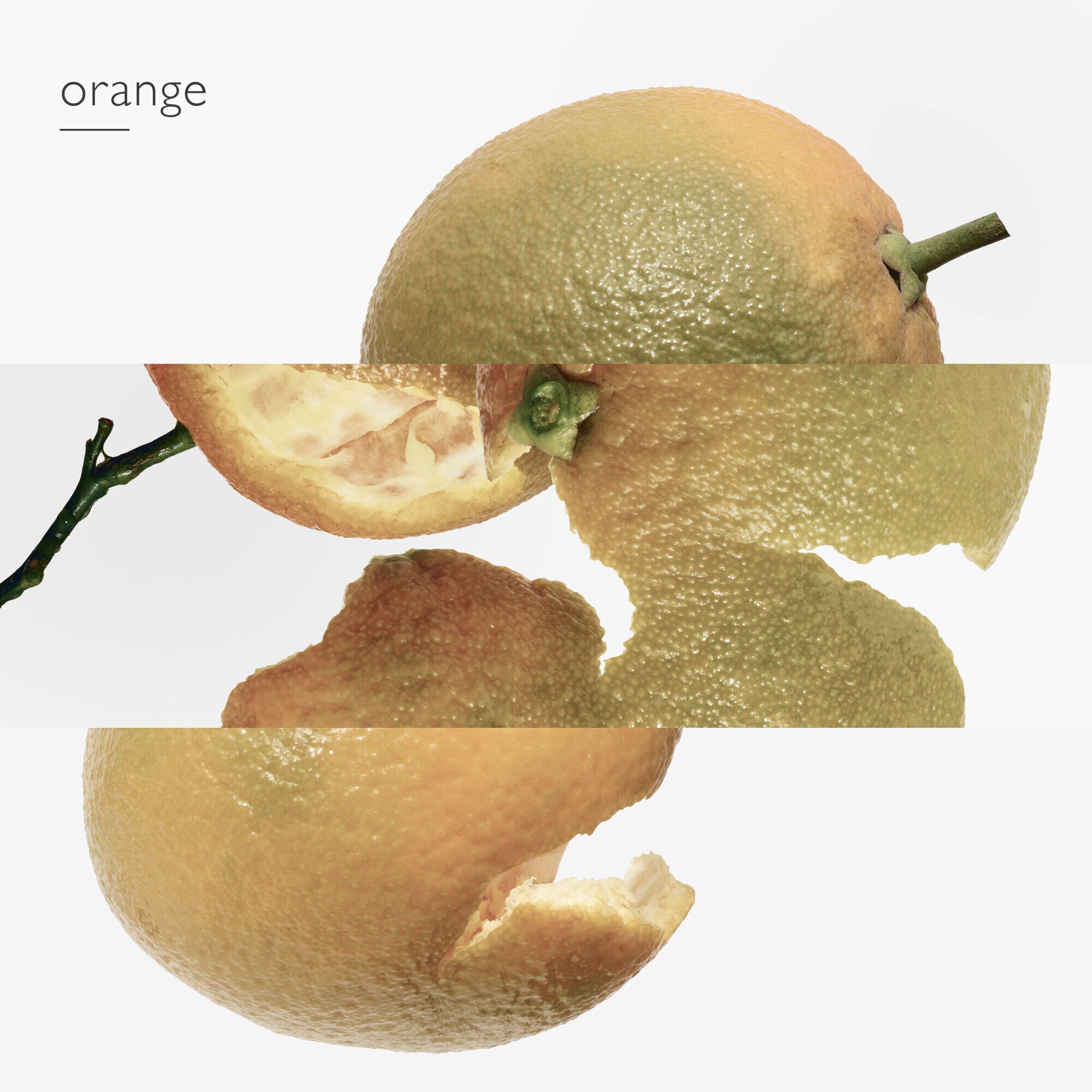 HERMES Eau d'orange verte 香水 hrmedrgvertedc1001.jpg