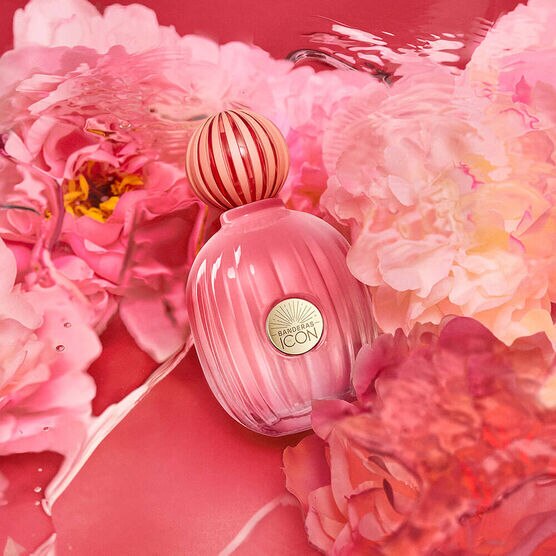 Perfume Banderas The Icon Splendid for Women Feminino Eau de Parfum