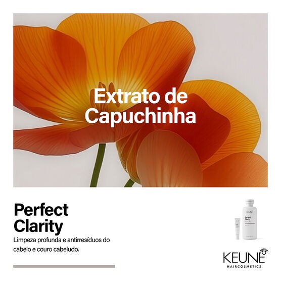Shampoo Detox Keune Care Perfect Clarity