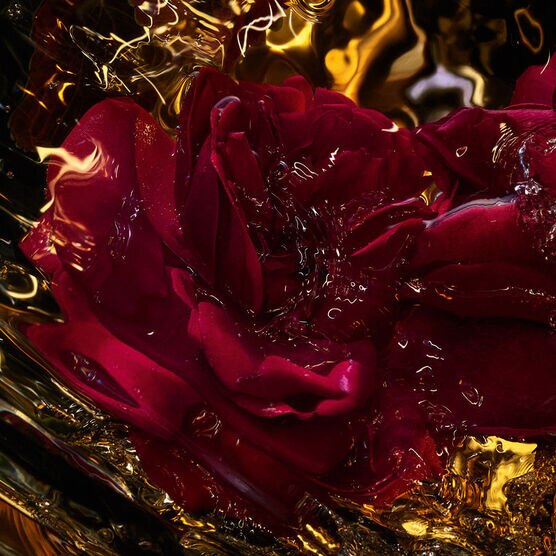 Perfume Guerlain Absolus Allegoria Rose Amira Unissex Eau de Parfum