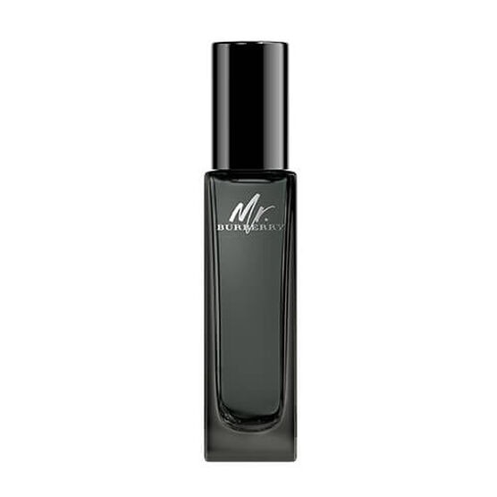 BURBERRY   MR. BURBERRY  EDP  100ML