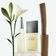 MIYAKE     L'EAU D'ISSEY EDTV 100ML
