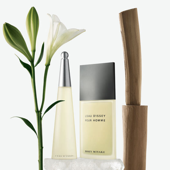 MIYAKE     EAU D'ISSEY H EDTV 125ML