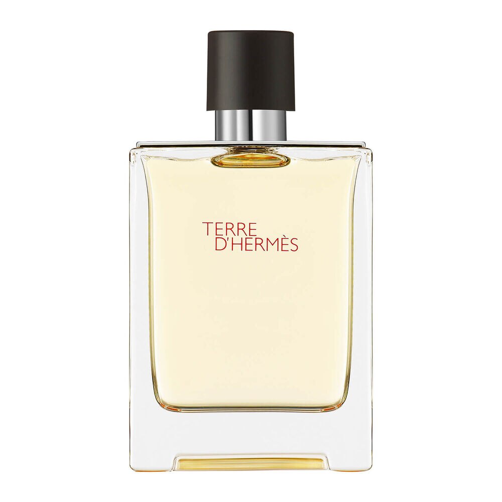 Perfume Terre d'Herms - Herms - Eau de Toilette Herms Masculino Eau de Toilette