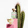 Green Her United Dreams Feminino Cactus LE  EDT 80ML