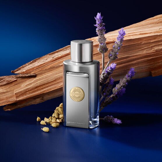 THE ICON   ELIXIR