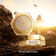 ABEILLE ROYALE CREME JOUR 50ML