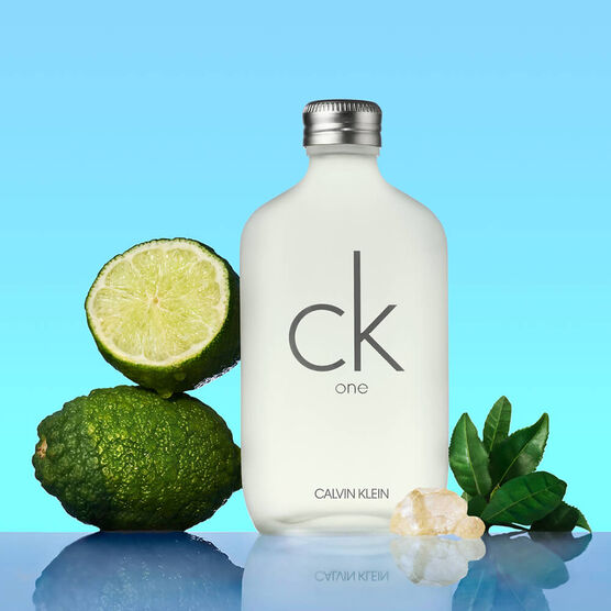 PERFUME CALVIN KLEIN ONE UNISSEX EAU DE TOILETTE 100ml