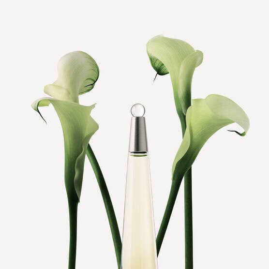 MIYAKE     L'EAU D'ISSEY EDTV 100ML
