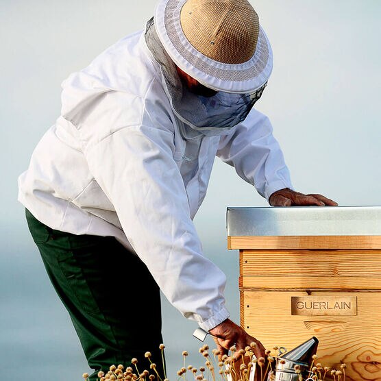 Hidratante Noturno Guerlain Abeille Royale Honey Treatment Refil