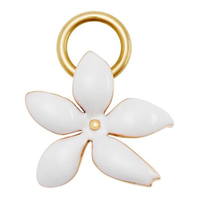 HERRERA    CHARM BEETLE  ACC  JASMI