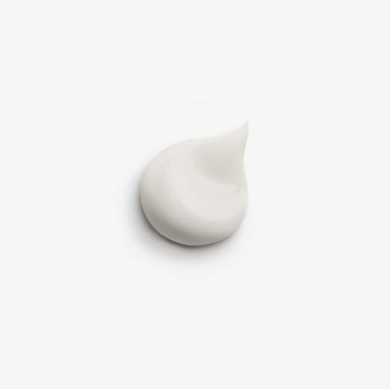 SISLEY     HYDRA FLASH     CR 60ML