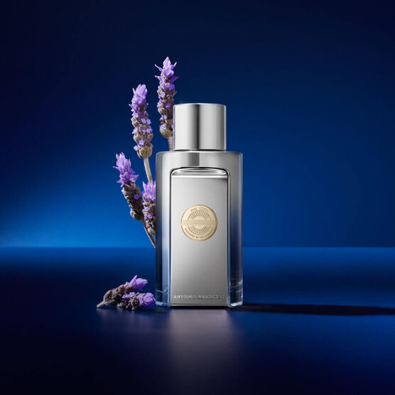 THE ICON   ELIXIR