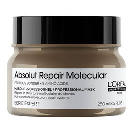 M&aacute;scara Capilar Concentrada L'Or&eacute;al Professionnel Absolut Repair Molecular