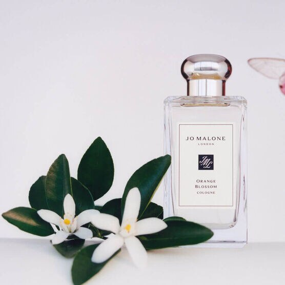 JO MALONE  ORANGE BLO PP EDC 100ML