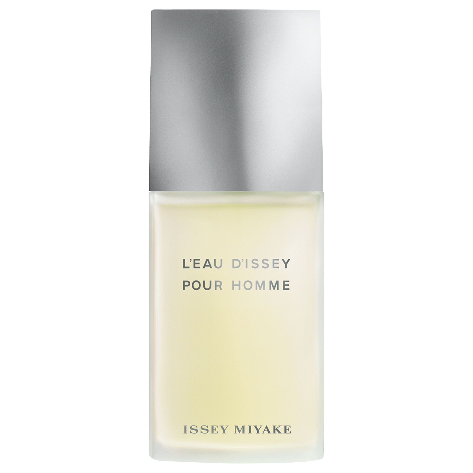 Perfume Issey Miyake L'Eau D'Issey Pour Homme Masculino Eau de