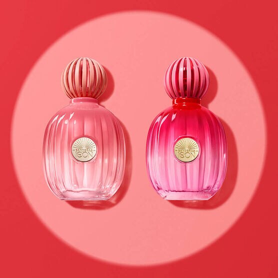 Perfume Banderas The Icon Splendid for Women Feminino Eau de Parfum