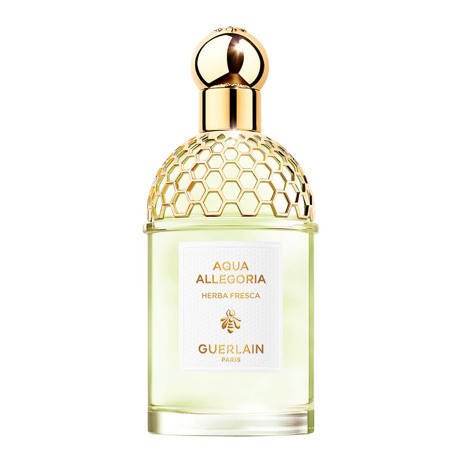Perfume Guerlain Aqua Allegoria Herba Fresca Feminino Eau de
