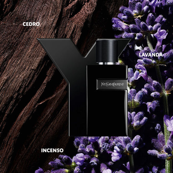 Y MEN ABSOLU EDP 100ML