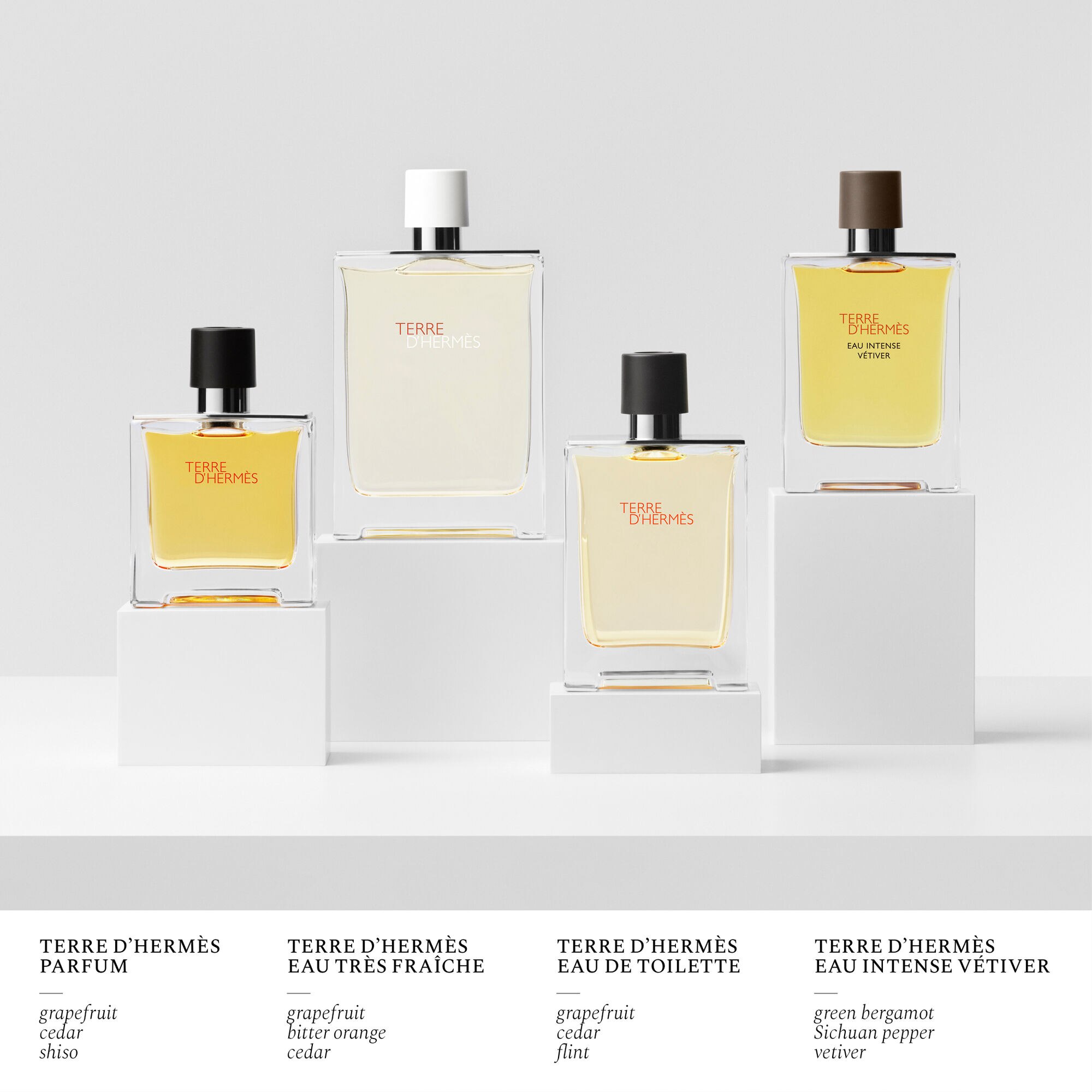 Perfume Hermès Terre d'Hermès Masculino - Sephora