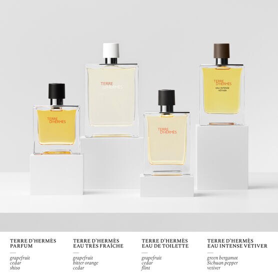 HERMES     TERRE D'HERME EDT  30ML