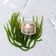 SHISEIDO   WRINKLE SMOOT EYES 15ML