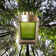 BVLGARI    BVLGARI MAN   EDP  100ML