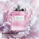 DIOR       MISS DIOR     EDTV 100ML