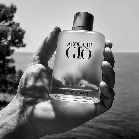 Perfume Giorgio Armani Acqua Di Giò Masculino Eau de Toilette | Sephora