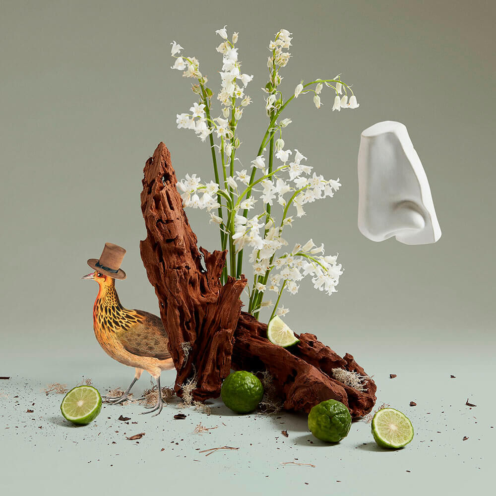 Perfume Penhaligons Lily of the Valley Unissex Eau de