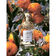 AQUA ALLEGORIA MANDARINE-BASIL EDT