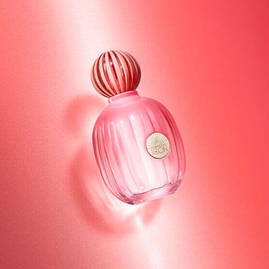 Perfume Banderas The Icon Splendid for Women Feminino Eau de Parfum