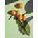SHISE      WASO COL OIL  FACE 50ML