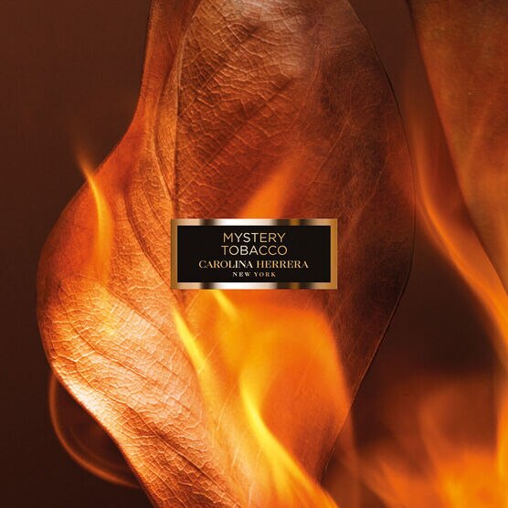Perfume Carolina Herrera Confidential Mystery Tobacco Unissex Eau De Parfum