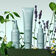 Scalp Solutions Exfoliating Treatment