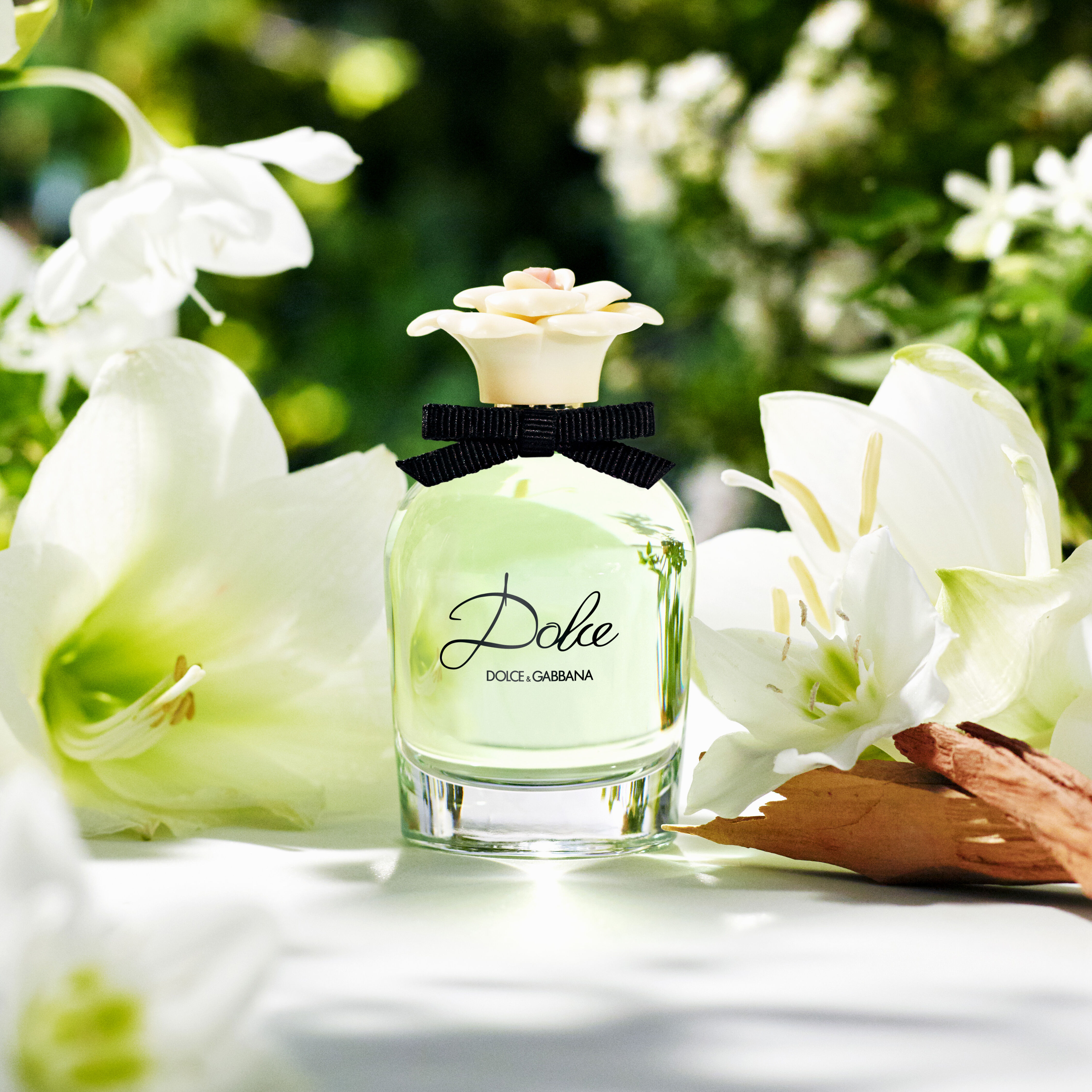 Dolce de dolce gabbana deals