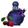 B.SPEARS   MIDNIGHT      EDPV 100ML