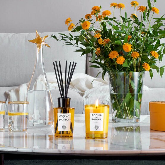 Difusor de Ambiente Acqua di Parma Insieme